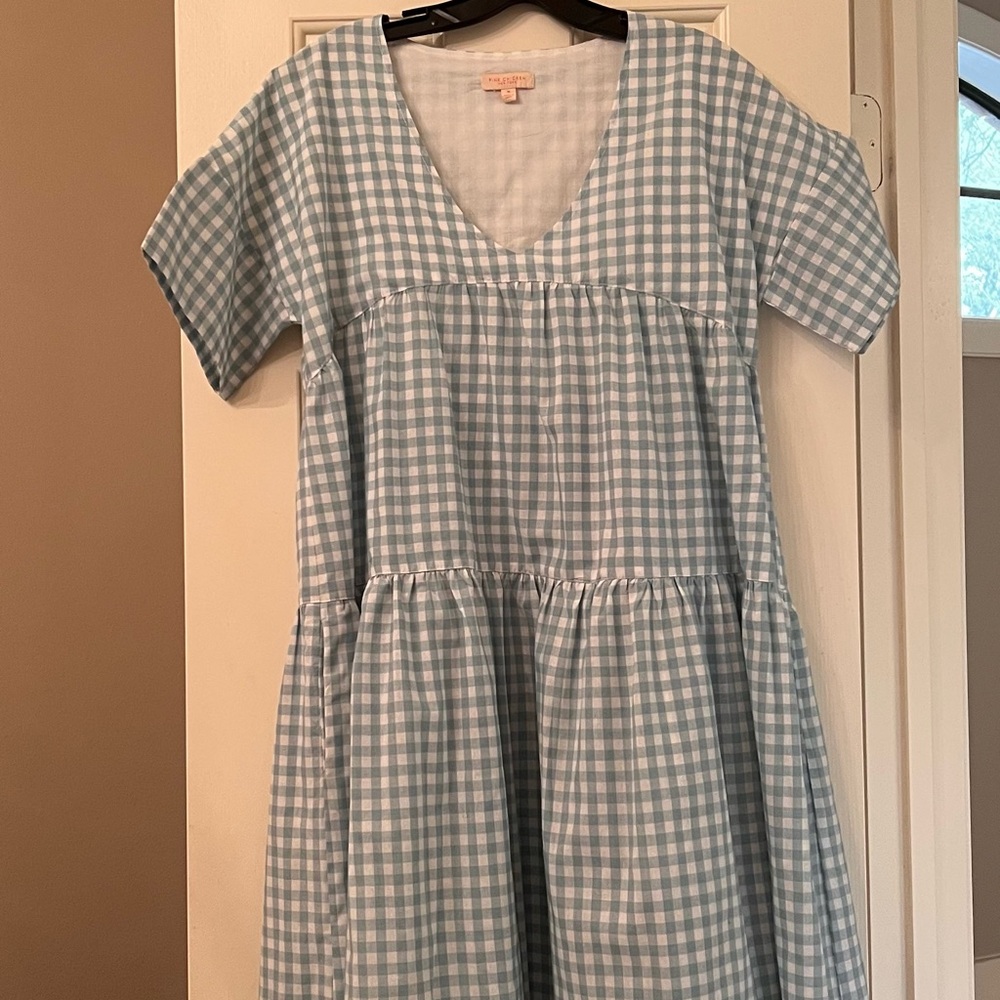 Pink Chicken Blue Gingham Midi Dress